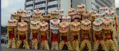 深圳市区专业舞龙舞狮子表演队伍---华术舞狮团