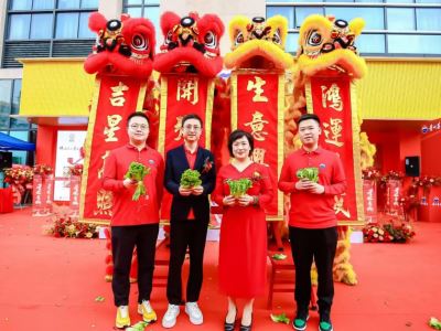 深圳东莞舞狮队醒狮队点睛采青仪式流程