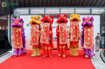深圳舞狮表演,相当震撼,都是真功夫
