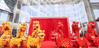 舞狮舞龙表演:传统文化的魅力与亮点