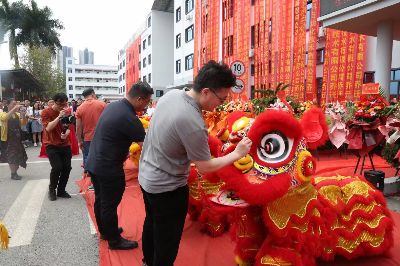 新店开业庆典:醒狮点睛与采青仪式全记录