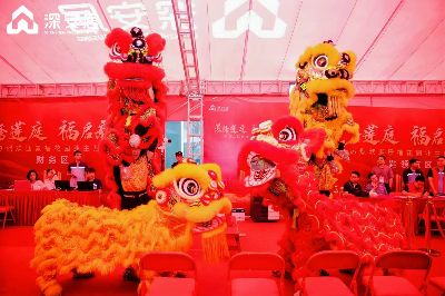 深圳开业舞狮-专业演出团队-策划演出一条龙