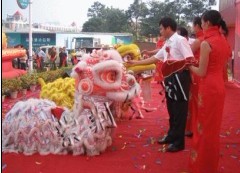 舞龙舞狮 舞狮表演 深圳舞狮视频 舞龙道具 舞狮道具 舞狮图片 民间舞狮