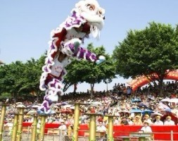 深圳开业开张庆典打狮队,舞狮子表演表演