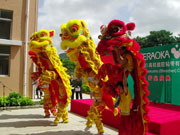 深圳舞狮队提供落地球-彩旗条幅红地毯布置