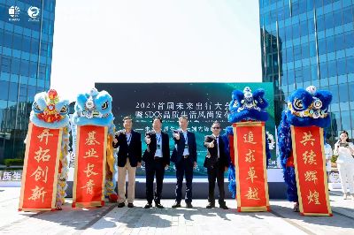 正宗舞狮表演全流程详解